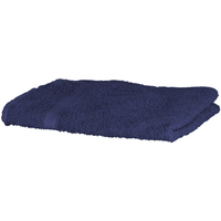 Maison & Déco Serviettes et gants de toilette Towel City RW1577 Bleu