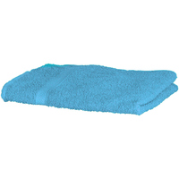 Maison & Déco Serviettes et gants de toilette Towel City RW1577 Multicolore