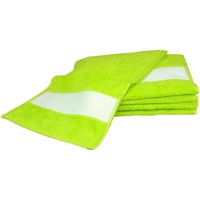 Maison & Déco Serviettes et gants de toilette A&r Towels 30 cm x 140 cm RW6042 Vert