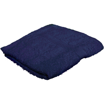 Maison & Déco Serviettes et gants de toilette Towel City RW1585 Bleu
