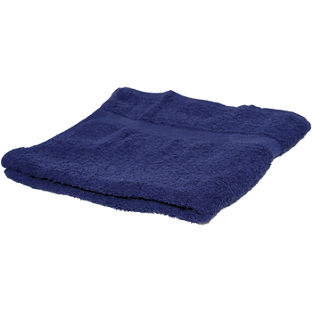Maison & Déco Pulls & Gilets Towel City RW1586 Bleu