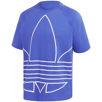 Vêtements Homme T-shirts & Polos adidas Originals Bg Trf Out Tee Bleu