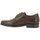 Chaussures Homme Derbies & Richelieu Fluchos Rafael 7995 Marrón Marron