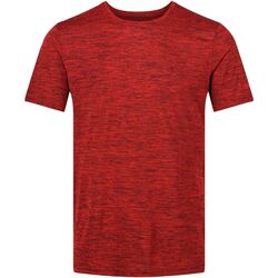 Vêtements Homme T-shirts manches courtes Regatta  Rouge foncé chiné