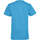 Vêtements Enfant domrebel distressed tiger logo print t shirt item REGENT FIT CAMISETA MANGA CORTA Bleu