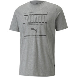 Vêtements Homme T-shirts manches courtes Puma Tee-shirt Anthracite