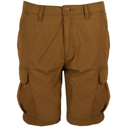 Vêtements Homme Shorts / Bermudas Napapijri NP0A4F7AN, Cargo Marron