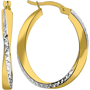 Montres & Bijoux Femme Boucles d'oreilles Brillaxis Créoles  ovales effet diamanté deux ors Multicolore