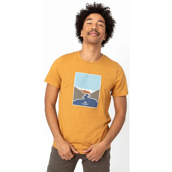 Vêtements Homme T-shirts manches courtes TBS Tee-shirt LANDSTEE OCRE