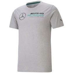 Vêtements Homme Ärmlös T-shirt Kiara Puma Mercedes F1 Logo Gris