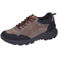 Chaussures Homme Fitness / Training Sioux  Gris