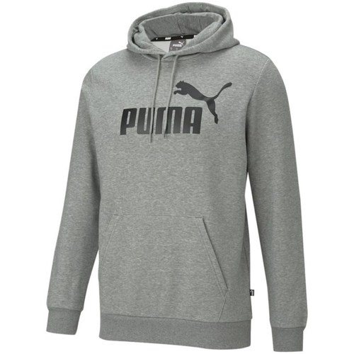 Vêtements Homme Sweats Puma Essential Big Logo Hoody Gris