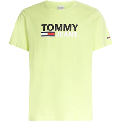 Vêtements Homme T-shirts manches courtes Tommy Jeans DM0DM10214 Vert