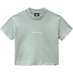 Vêtements Femme T-shirts manches courtes Dickies DK0A4XBAB871 Vert