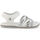 Chaussures Homme Sandales et Nu-pieds Shone 7193-021 White Blanc
