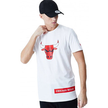 Vêtements Homme T-shirts manches courtes New-Era Tee-shirt homme Chicago bulls blanc Blanc