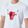Vêtements Homme Débardeurs / T-shirts sans manche New-Era Tee-shirt homme Chicago bulls blanc Blanc