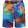 Vêtements Homme Shorts / Bermudas Horspist Shorts  MULTI Multicolore