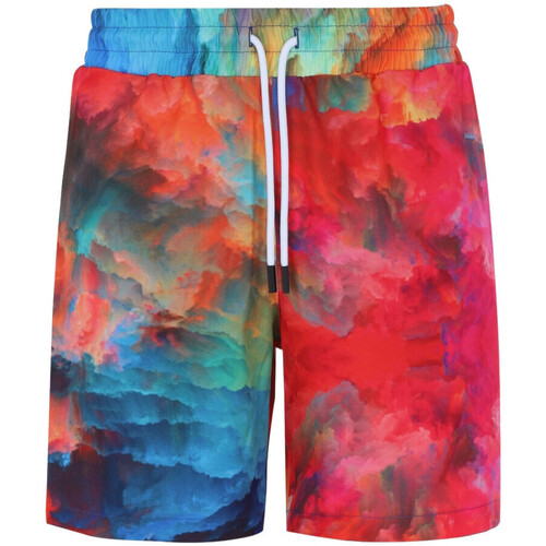 Vêtements Homme Shorts JEANS / Bermudas Horspist Shorts JEANS MULTI Multicolore