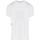 Vêtements Homme T-shirts manches courtes Roberto Cavalli S03GC0530 Blanc