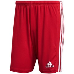 Vêtements Homme Shorts / Bermudas adidas Originals Squadra 21 Rouge