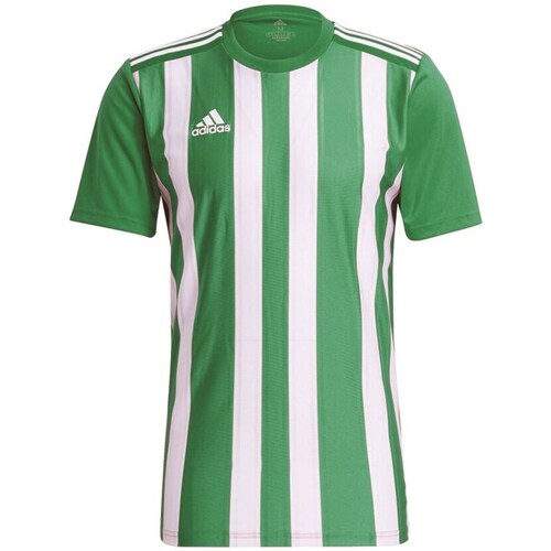 Vêtements Homme T-shirts manches courtes adidas Originals Striped 21 Vert, Blanc