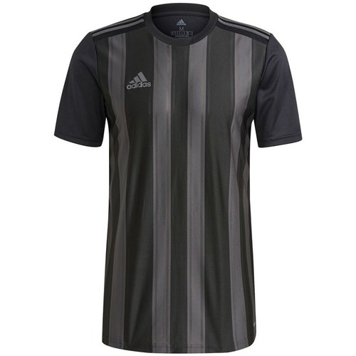 Vêtements Homme T-shirts manches courtes adidas Originals Striped 21 Noir, Gris