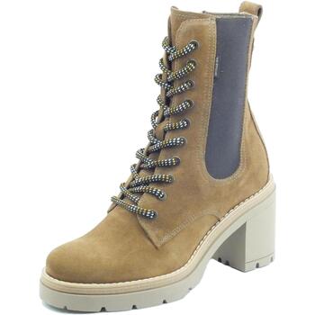 Chaussures Femme Low Match boots NeroGiardini I117133D Velour Marron
