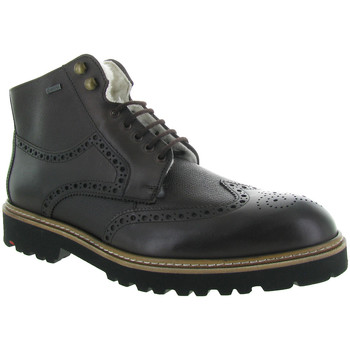 Chaussures Homme Boots Lloyd VARON GORETEX Marron