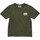 Vêtements Homme T-shirts manches courtes Halo T-shirt III Vert