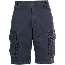 Vêtements Homme Shorts / Bermudas Trespass Usmaston Bleu