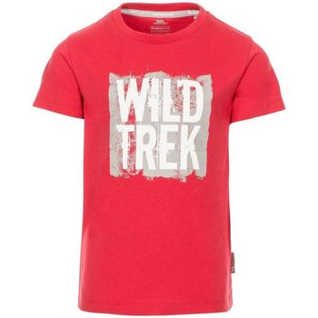 Vêtements Garçon T-shirts manches courtes Trespass TP4971 Rouge