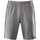 Vêtements Homme Shorts / Bermudas Schneider Sportswear  Gris