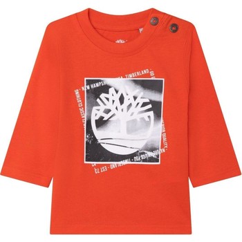 Vêtements Garçon Coupes vent Timberland Black Orange