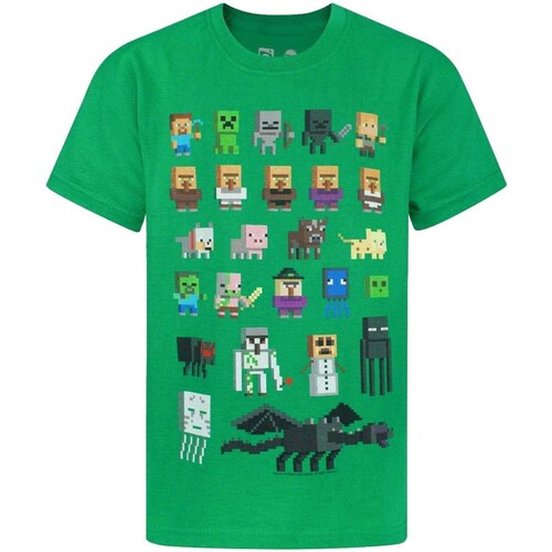 Vêtements Garçon Loints Of Holla Minecraft Sprites Vert