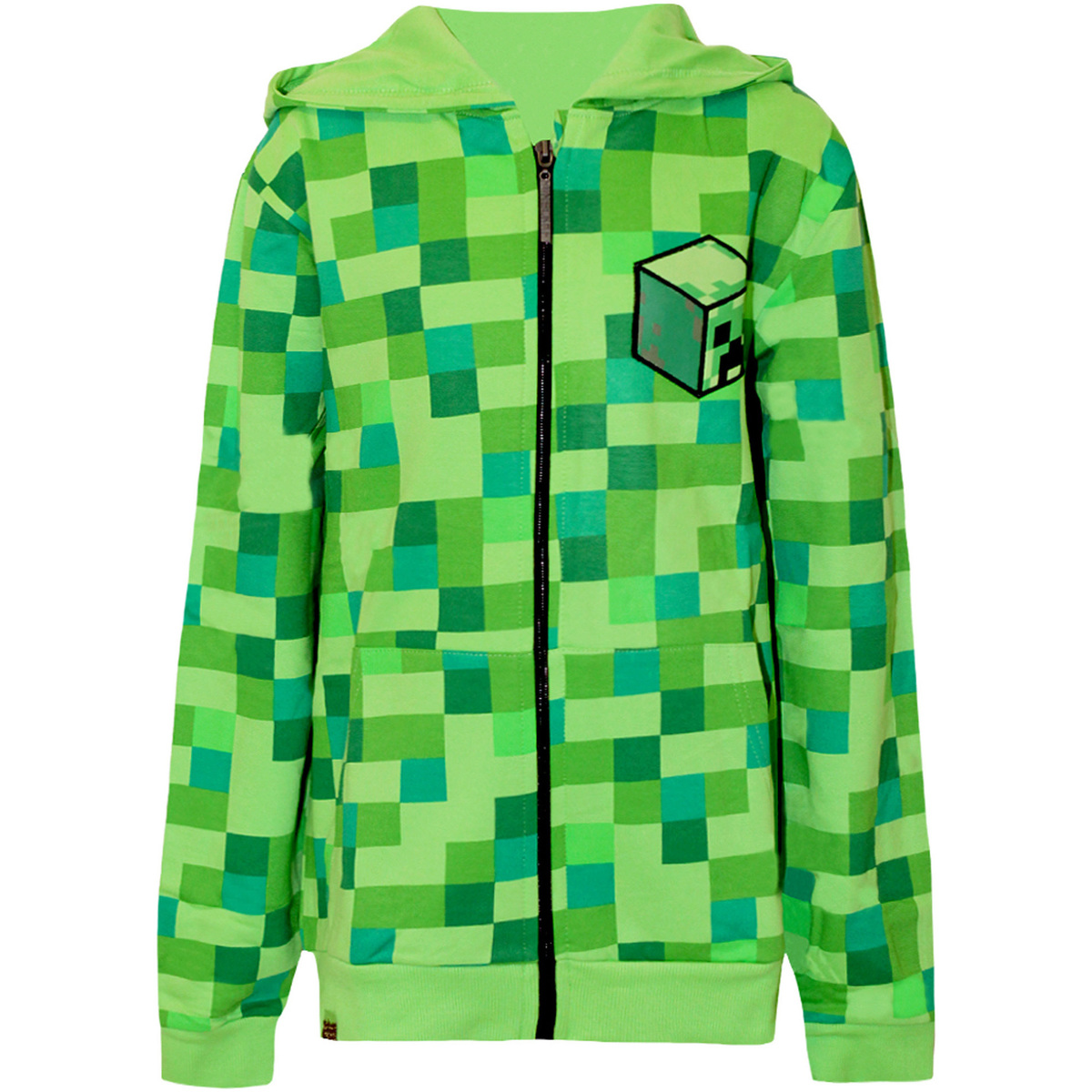 Vêtements Garçon Sweats Minecraft  Vert