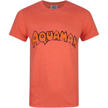 Vêtements Homme T-shirts manches longues Aquaman  Orange
