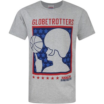 Vêtements Homme T-shirts manches longues Harlem Globetrotters NS4078 Gris
