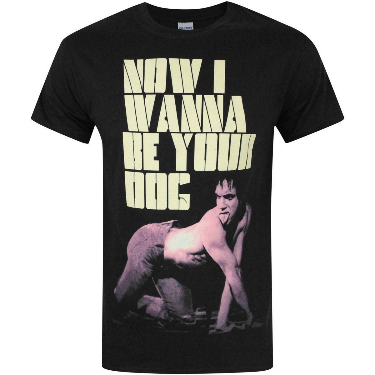 Vêtements Homme T-shirts manches longues Iggy Pop NS4084 Noir