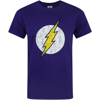 Vêtements Homme T-shirts manches longues Dc Comics  Violet