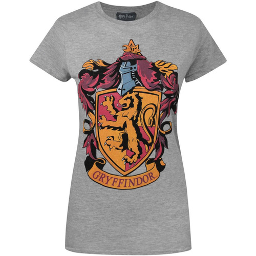 Vêtements Femme T-shirts manches longues Harry Potter NS4216 Gris