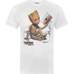 Vêtements Homme T-shirts manches courtes Guardians Of The Galaxy  Blanc