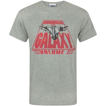 Vêtements Homme T-shirts manches longues Guardians Of The Galaxy  Gris