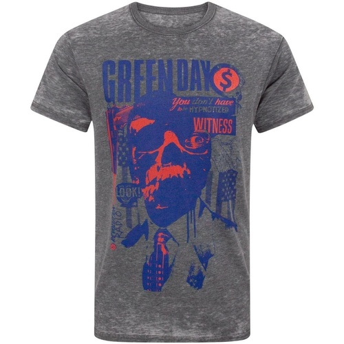 Vêtements Homme T-shirts manches longues Green Day Revolution Radio Gris