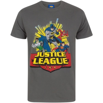 Vêtements Homme T-shirts manches longues Justice League NS4410 Gris