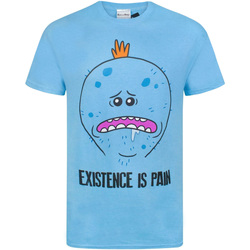 Vêtements Homme T-shirts manches courtes Rick And Morty  Bleu