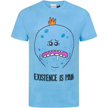 Vêtements Homme T-shirts manches longues Rick And Morty  Bleu