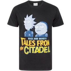 Vêtements Homme T-shirts manches courtes Rick And Morty  Noir