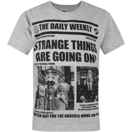 Vêtements Garçon T-shirts manches courtes Strange Hill High NS4537 Gris