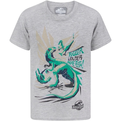 Vêtements Garçon T-shirts manches courtes Jurassic World Bigger Teeth Gris